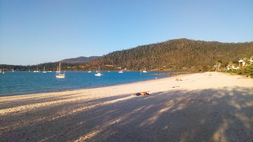 Apartament Boathouse Port Of Airlie Airlie Beach Zewnętrze zdjęcie